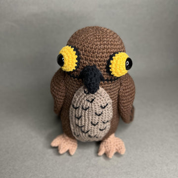 Potoo Bird