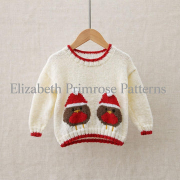 Christmas Robins Jumper P13