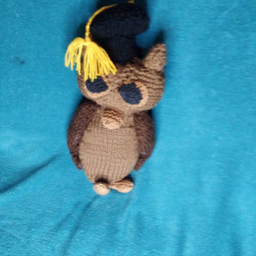 The wise owl