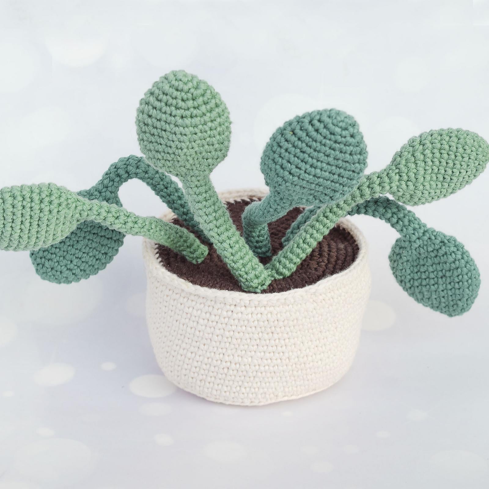 Plant and Worm