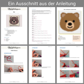 Teddy Bär auf Quadrat