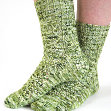 Willowbug MKAL
