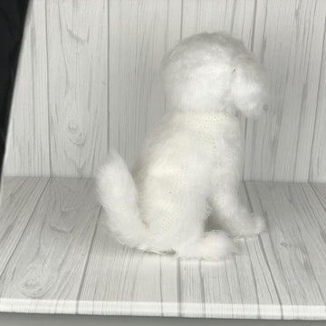Maltese Puppy
