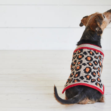 Leopard Pooch - Dog Coat Knitting Pattern For Pets in Debbie Bliss Rialto Aran by Debbie Bliss