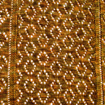 Mrs. Montague's Wide Bordered Lace Wrap