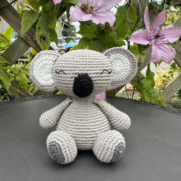 Kylo the Koala