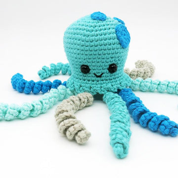 Little Octopus