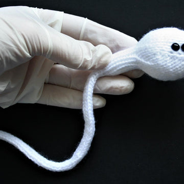 Human Sperm