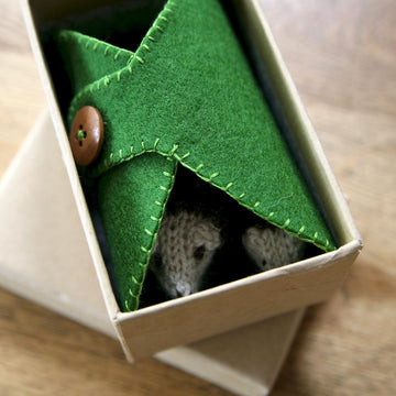 Hedgehogs in a Box