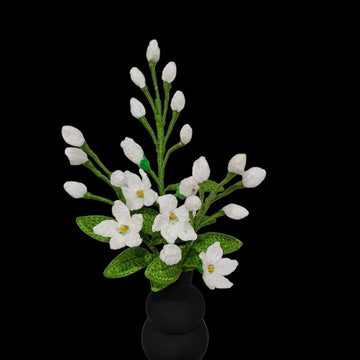 Jasmine flowers