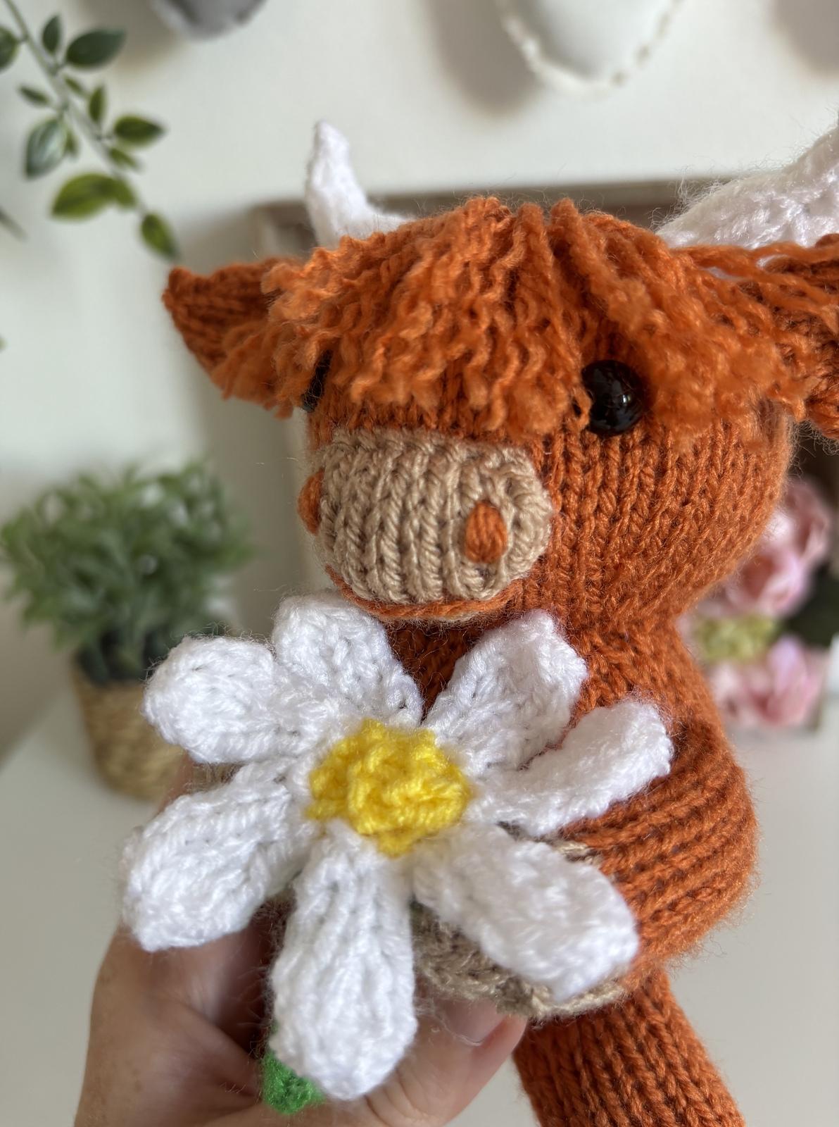 Daisy Highland Cow