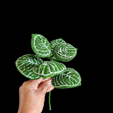 Crochet Nerve plant/Fittonia