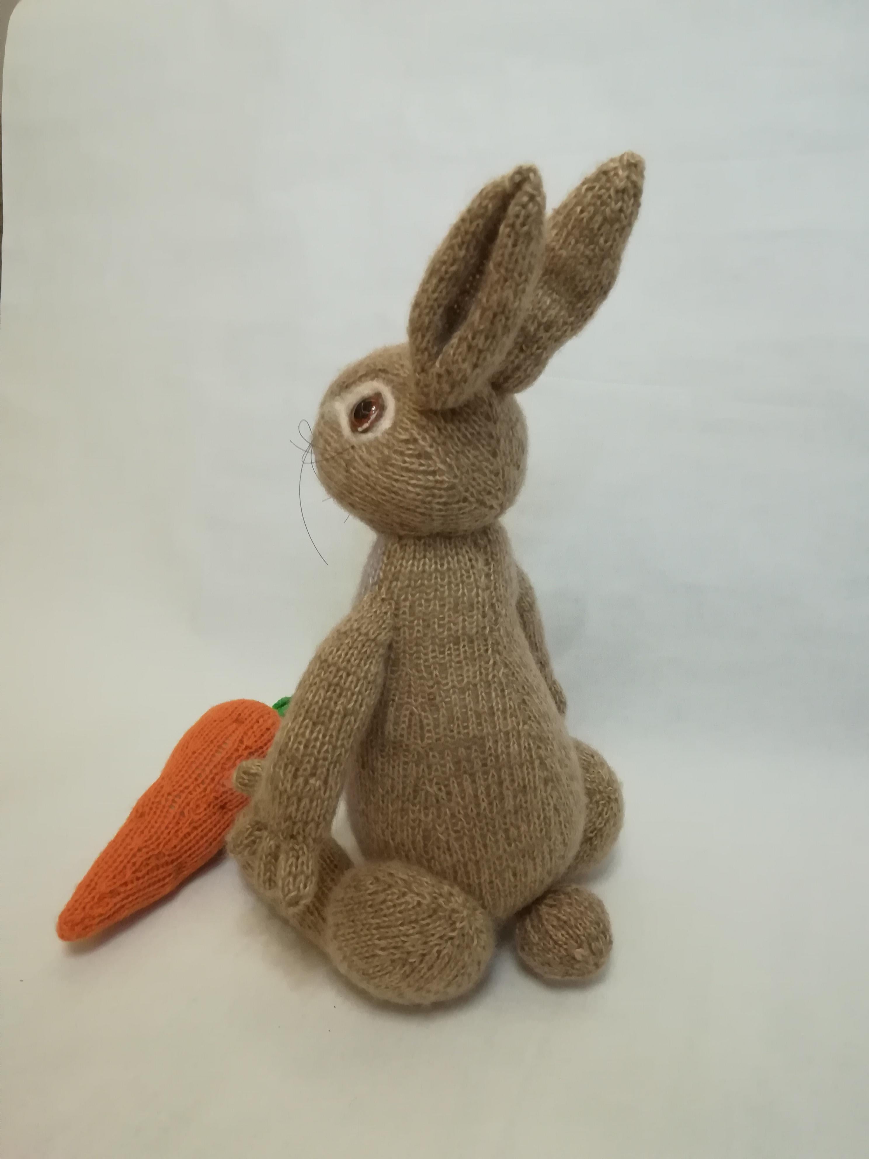 Peter Rabbit, Toy Knitting Pattern for Kids  Downloadable PDF, English