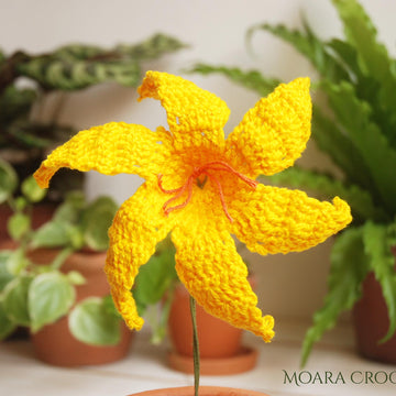 Crochet Lily