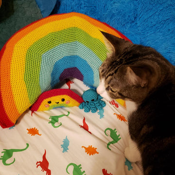 Rainbow Cuddles Buddy