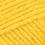 Buttercup Yellow (922)