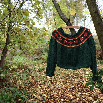 The Toadstool Sweater Adult