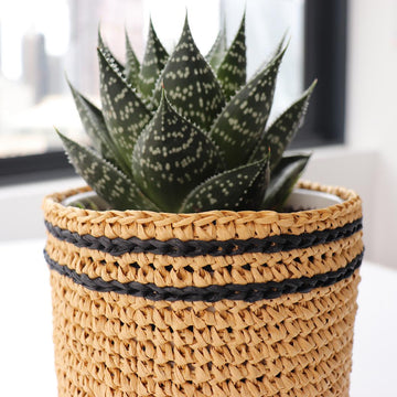 Raffia Flower Pot Sleeve
