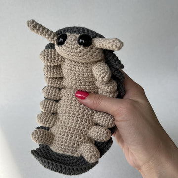 Roly Poly Pill Bug