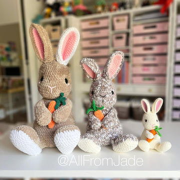 Alice the Flemish Giant Rabbit