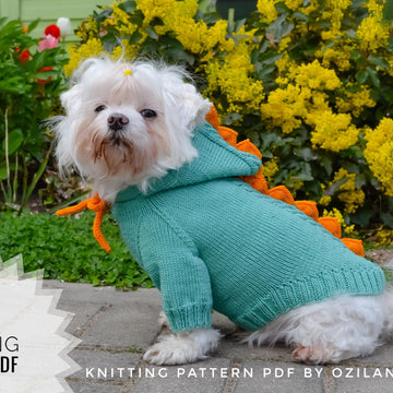 Dragon dog hoodie