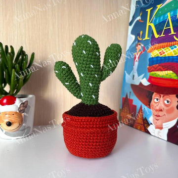 Cactus 2 in a pot