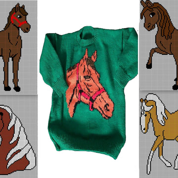 5 x Cute Horse Jumper