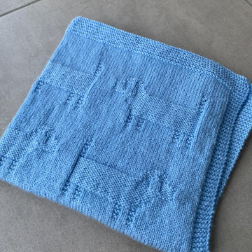 Sausage Dog Blanket
