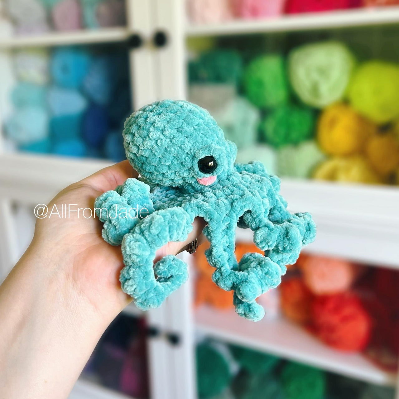 Paula the Octopus