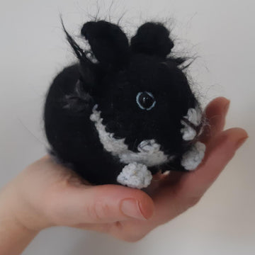 House rabbit Flapper