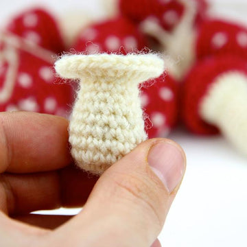 Toadstools & Mushrooms