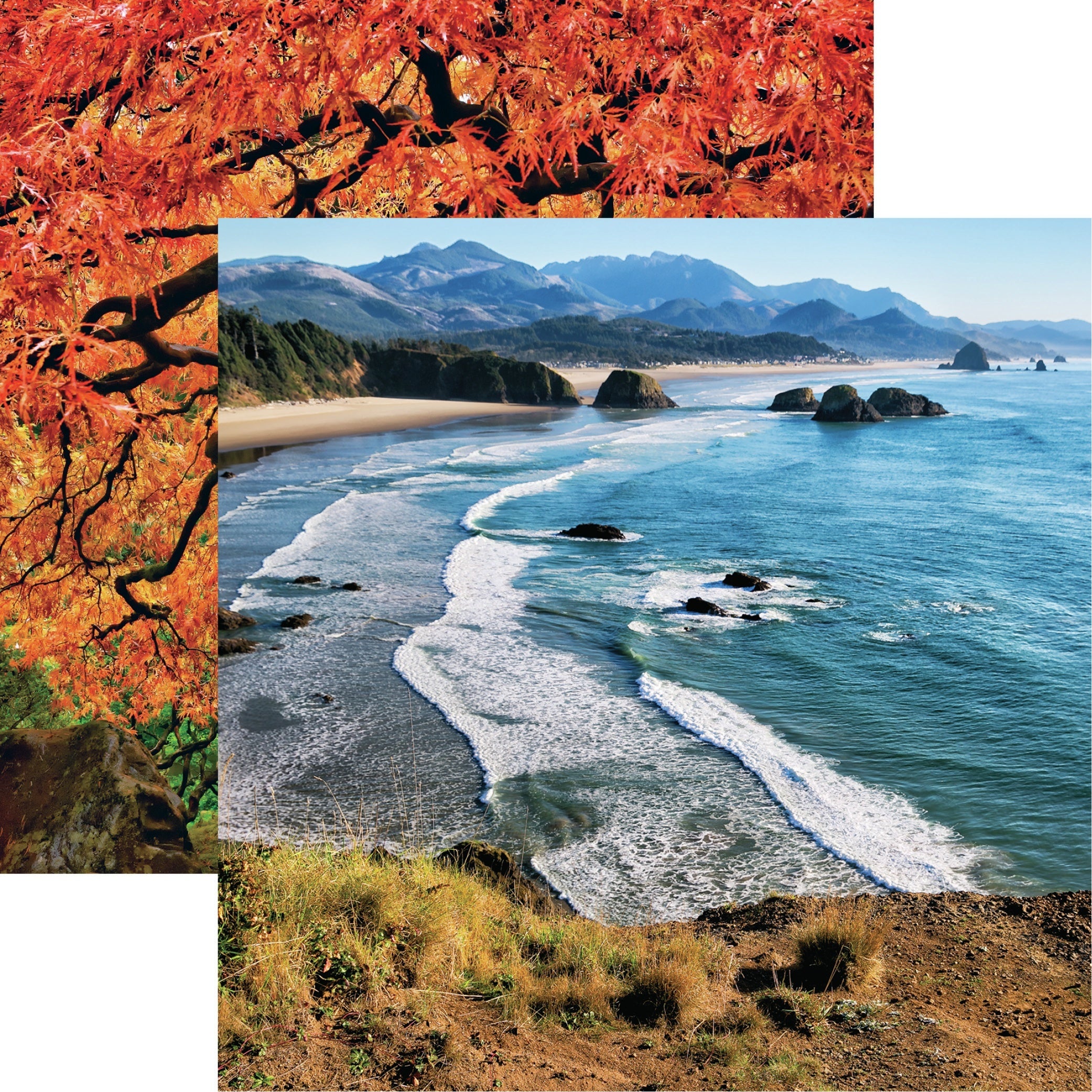 Reminisce The Great Northwest Double-Sided Cardstock 12"X12" 25/Pkg - Oregon Coastline
