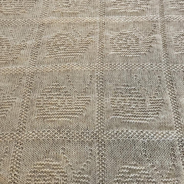 Marking Its Trail Snail Blanket