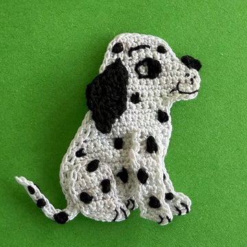 Dalmatian Pup
