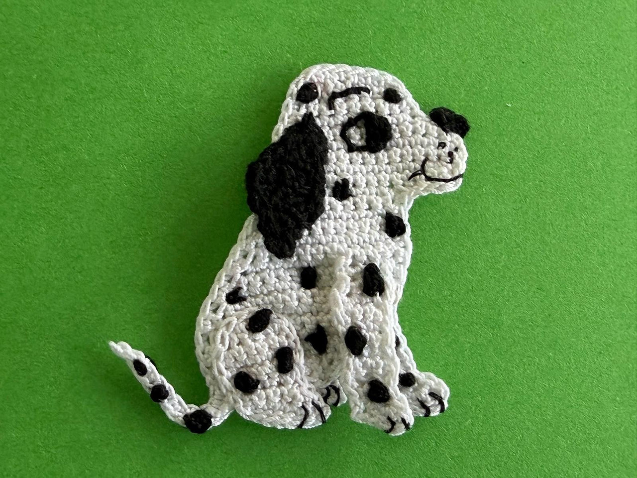 Dalmatian Pup