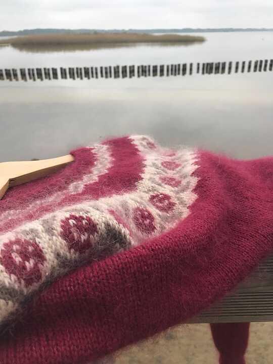 Pull Hellébore
