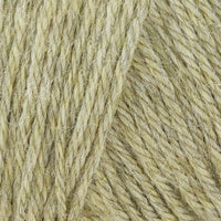 Spring Willow
