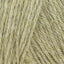 Spring Willow