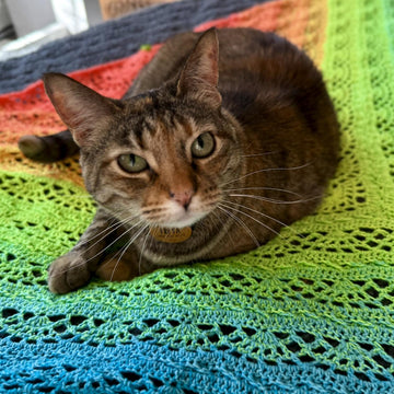 Stretchy Toes Shawl