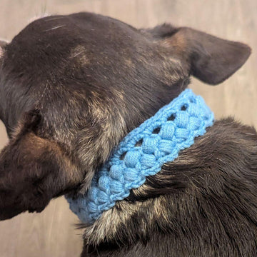 Dog Collar #3 English-US