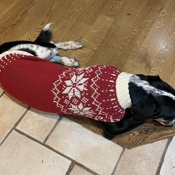 Snowy pup Sweater