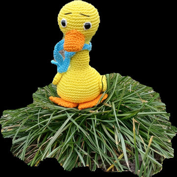 Clotild duck