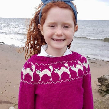 The Macavity Cat Jumper