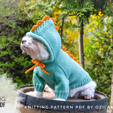 Dragon dog hoodie
