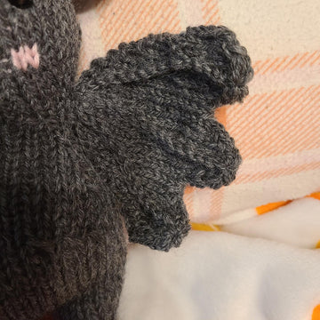 Echo the Baby Bat