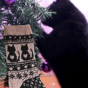 Kitty Christmas Stocking