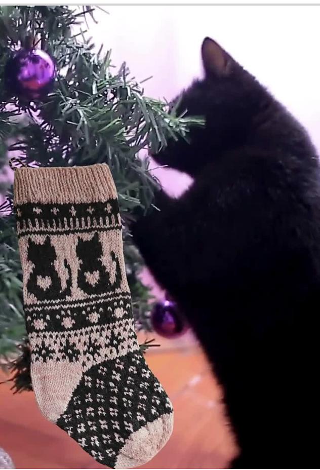 Kitty Christmas Stocking