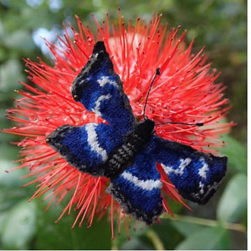 A Kaleidoscope of Butterflies
