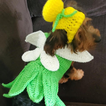 Stinker Bell Dog Coat inspired by Tinkerbell