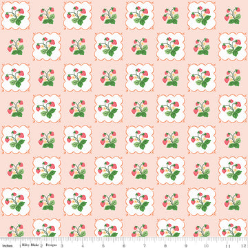 Riley Blake Summer Picnic - Pink - RBC10751PINK